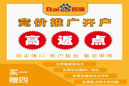 SEM广告投放案例：打造品牌影响力